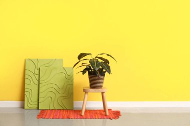 Çiçekler stantta, resimler de sarı duvarda.