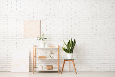 Raflarda kitaplar, ev bitkileri ve heykelcikler beyaz tuğla duvarın yanında.