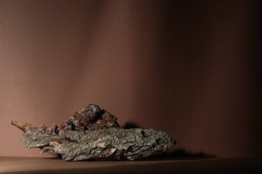 Kahverengi arka planda ağaç kabuğu