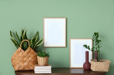 Yeşil duvarın yanındaki klozette bitkilerle, kitaplarla ve boş çerçevelerle dolu sepetler.