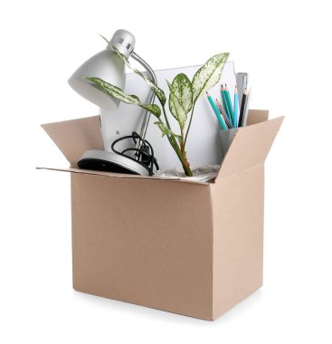 Ofis malzemeleri, lamba ve bitki içeren karton taşınma kutusu beyaz arka planda izole