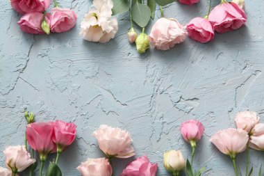 Mavi grunge arka planda pembe Eustoma çiçeklerinden yapılmış çerçeve, yakın plan