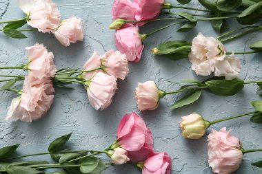 Mavi grunge arka planda güzel pembe Eustoma çiçekleri olan kompozisyon, yakın plan