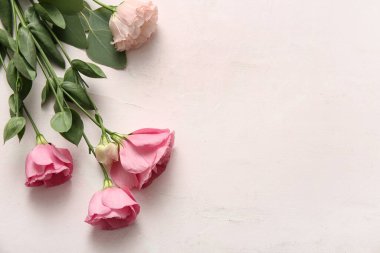 Açık pembe arka planda güzel Eustoma çiçekleri olan kompozisyon, yakın plan.