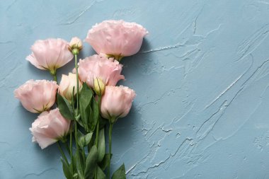 Mavi grunge arka planda güzel pembe Eustoma çiçekleri olan kompozisyon, yakın plan