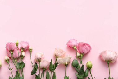 Pembe arka planda güzel Eustoma çiçekleri olan kompozisyon