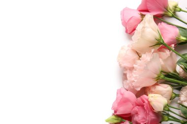 Beyaz arka planda izole edilmiş pembe Eustoma çiçekleri, yakın plan.