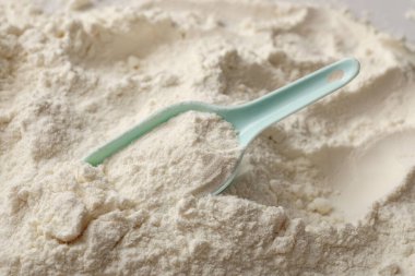 Toz bebek sütü formülünün dokusu, arka plan olarak kepçeyle, yakın plan