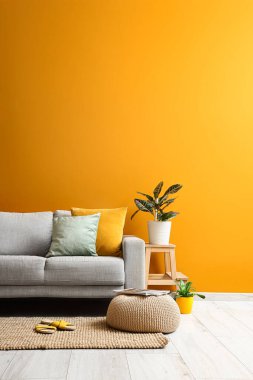 Gri kanepe ve yumuşak puf turuncu duvarın yanında oturma odasında.
