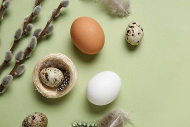 Tüylü Paskalya yumurtaları ve yeşil arka planda söğüt dalları