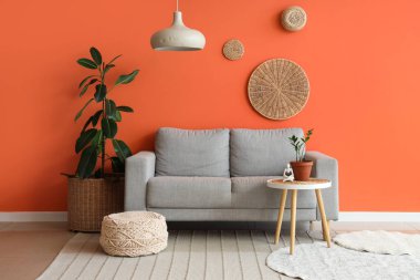 Gri kanepesi, kahve masası ve turuncu duvarın yanında bitkileri olan şık bir oturma odası.
