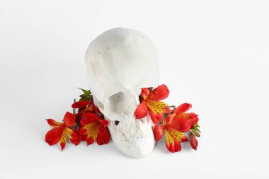 Beyaz arka planda güzel alstromerya çiçekleri olan insan kafatası