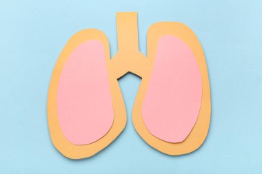 Mavi arka planda kağıt ciğerler