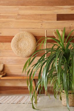 Ev bitkileri, bank ve raf ünitesi ahşap duvarın yanında.