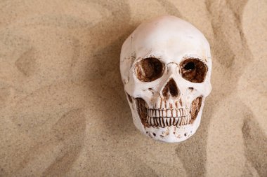 Kumda insan kafatası, üst manzara