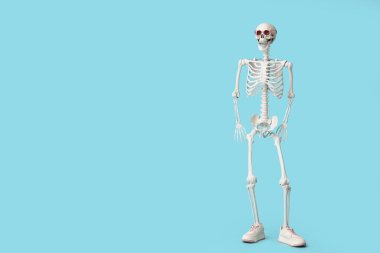 Güneş gözlüklü komik insan iskeleti ve mavi arka planda spor ayakkabıları.