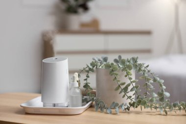 Yatak odasındaki masada gerekli yağ ve bir tencere okaliptüs içeren hava nemlendirici.