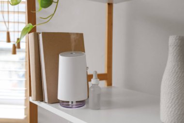 Oturma odasındaki rafta gerekli yağ, kitap ve ev dekorasyonuyla hava nemlendirici, yakın plan.