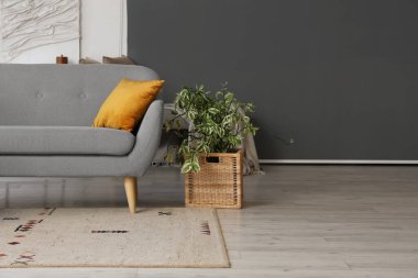 Rahat kanepesi ve çiçekleri olan şık bir oturma odası.