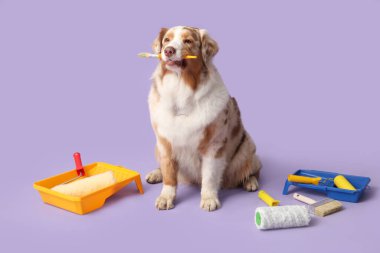 Leylak arka planında sevimli köpek ve dekoratör aletleri