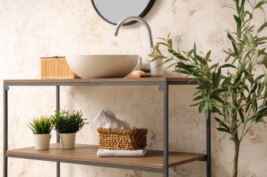 Modern banyoda şık bir lavabo ve dekoratif zeytin ağacı.