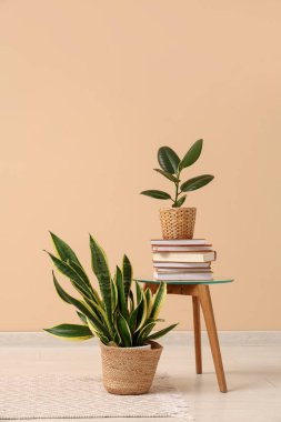 Ev bitkileri ve kitap yığını bej duvarın yanındaki sehpanın üzerinde.