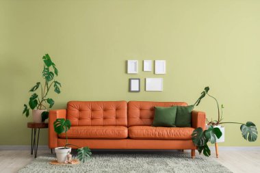 Oturma odasının içinde şık bir deri kanepe ve yeşil duvarın yanında bitkiler.