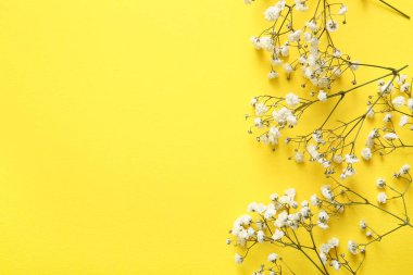 Sarı arka planda güzel çigila çiçekleri olan kompozisyon