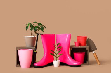 Bej arka planda bitkileri olan bahçe malzemeleri.