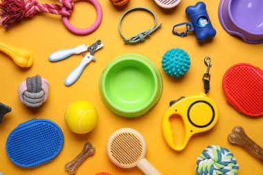 Yemek kasesi ve turuncu arka planda farklı evcil hayvan aksesuarları.