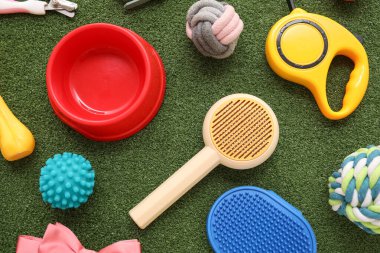 Yemek kasesi ve yeşil çimenlikte farklı hayvan aksesuarları.