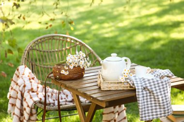 Battaniyeli rahat hasır sandalye, papatya çiçeği ve çaydanlık parkta, açık havada.