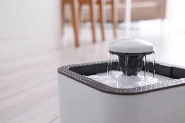 Mutfakta otomatik evcil hayvan çeşmesi, yakın plan.