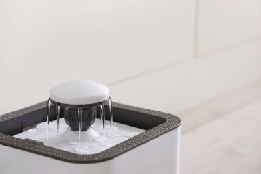 Mutfakta otomatik evcil hayvan çeşmesi, yakın plan.