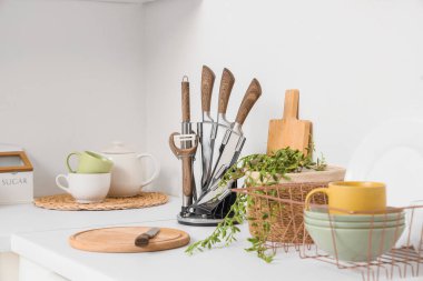 Mutfak tezgahında bitki ve tabak dolu bıçak seti.