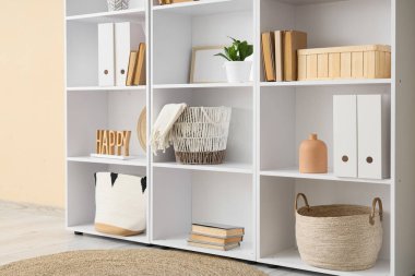 Odada bej duvarın yanında dekoru ve bitkileri olan kitaplık.