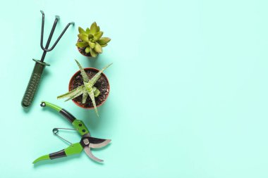 Renkli saksılar, saksıcılar ve bahçe tırmığı.