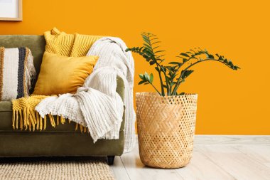 Oturma odasının içinde sarı duvarın yanında rahat bir kanepe ve çiçek var.