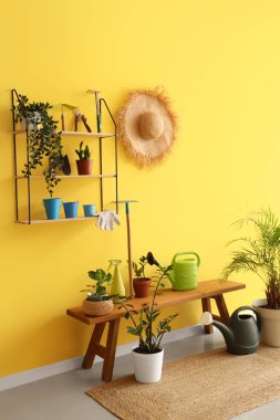 Bahçe aletleri, raf ve bank ile atölyenin içi