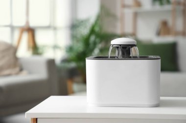 Oturma odasındaki masada otomatik evcil hayvan çeşmesi.