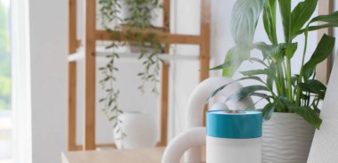 Modern hava nemlendirici ve bitki oturma odasında rafta.