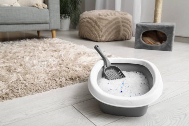 Odada yerde silis kristalleri olan kedi kumu kutusu.