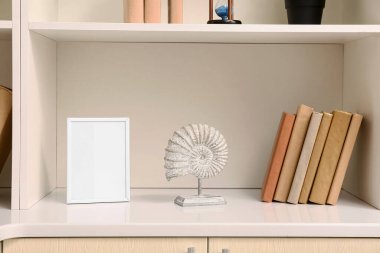 Kitaplı raflar ve şık dekorlar, yakın plan.