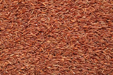 Arkaplan olarak çiğ kahverengi pirinç, yakın plan