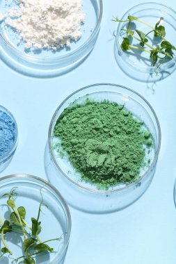 Mavi arka planda farklı örnekler ve lahanalarla dolu petri kapları