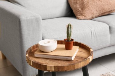 Oturma odasındaki masada kitabı olan kaktüs saksısı, yakın plan.