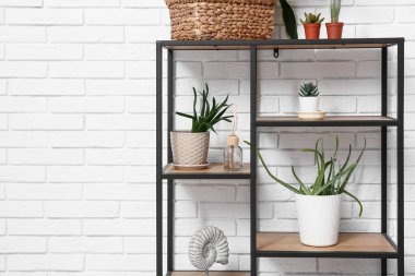 Beyaz tuğla duvarın yanında sulu raflar var.