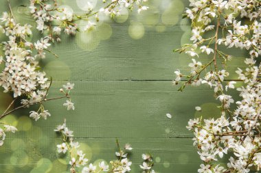Çerçeve, yeşil ahşap arka planda çiçek açan güzel dallardan yapılmıştır. Merhaba bahar.