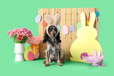 Paskalya pastası, hediye yumurtası, kağıt tavşan, güzel laleler ve yeşil arka plandaki ahşap çitle tavşan kulaklı şirin cocker spaniel.