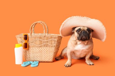 Turuncu arka planda plaj aksesuarlarının yanında oturan şapkalı sevimli Fransız bulldog.